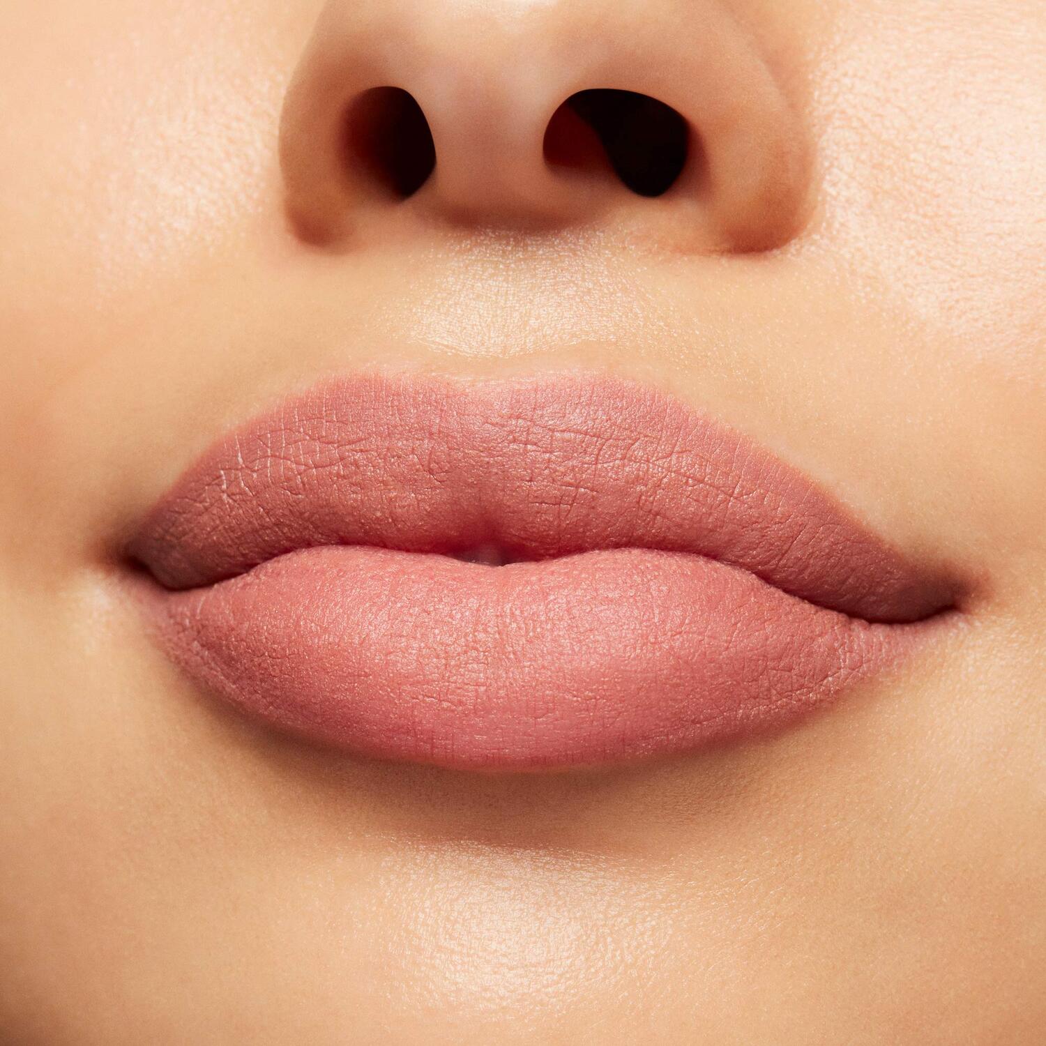 POWDER KISS LIQUID LIPCOLOR (COLOR DE LABIOS L&Iacute;QUIDO)